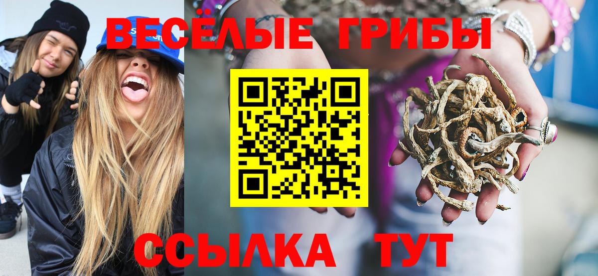 Галлюциногенные грибы GOLDEN TEACHER Кольчугино