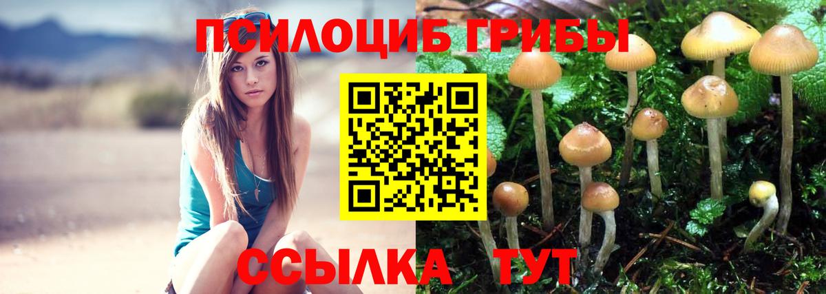 купить наркотик  Галлюциногенные грибы мухоморы  Вход с VPN  Кольчугино 